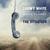 Migration - Snowy White