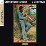 Обложка трека A Secret Place