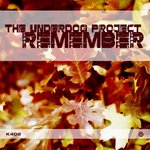 Обложка трека Remember