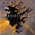 You Don't Walk Away from Disemberment - Architects