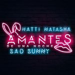 Обложка трека Amantes de una Noche