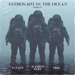 Обложка трека Astronaut In The Ocean