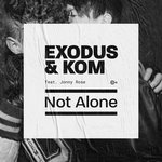Обложка трека Not Alone