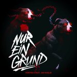 Обложка трека Nur ein Grund