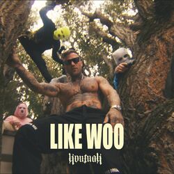 Обложка трека Like Woo