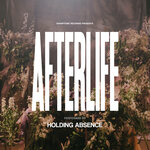 Обложка трека Afterlife