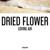 Loving Air - Dried Flower