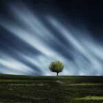 Обложка трека Deep Sleep State