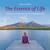 Endlessness - Oliver Scheffner