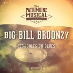 Обложка трека Hollerin' Blues