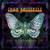 Stone Believer - Iron Butterfly