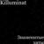 Иллюминаты - Killuminat
