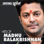 Обложка трека Ramayanam Katha