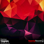Обложка трека Trippi