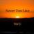 Never Too Late - Never Too Late
