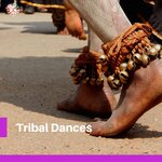 Обложка трека Bushman