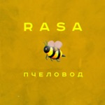 Обложка трека Ты пчела - я пчеловод