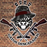 Обложка трека Guru