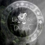Обложка трека Dudnik