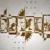 True - Amaranthe