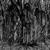 Cry for the Weeper - Sunn O)))