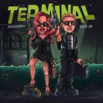 Обложка трека TERMINAL