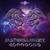 Undefined Field (Singularity) - Material Music