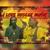 I Love Reggae Music - Zion Irie