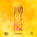 Обложка трека Pump and Pace