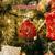 Away in a Manger - Christmas Music