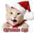 O Christmas Tree - Christmas Songs