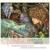 Mustang Ford - Tyrannosaurus Rex
