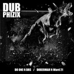 Обложка трека Doberman