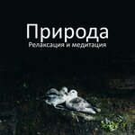 Обложка трека Утренний дождь и пианино