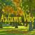 Autumn Vibe - Cristian Paduraru