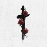 Обложка трека SAINt JHN-Roses (remix)