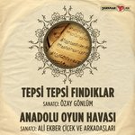 Обложка трека Tepsi Tepsi Fındık