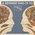 Leave It - Bombay Bicycle Club