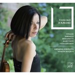 Обложка трека Baroque Violin Concerto in G Minor, I. Allegro