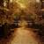 Sweet Loneliness - The Best Pessimist