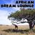 Welwitschi - African Tribal Orchestra