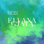 Обложка трека Njesoj