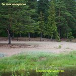 Обложка трека Что я могу