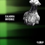 Обложка трека Invisible