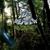 Ain't Got Nothing (To Go Wrong) - Dead Meadow