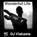 Обложка трека Wonderfull Life
