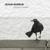 Kirlenmiş Çığlık - Jehan Barbur