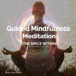 Обложка трека Guided Mindfulness Meditation (The Space Within)