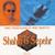 Feeling Good Love - Shahin & Sepehr
