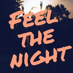 Обложка трека Feel the Night